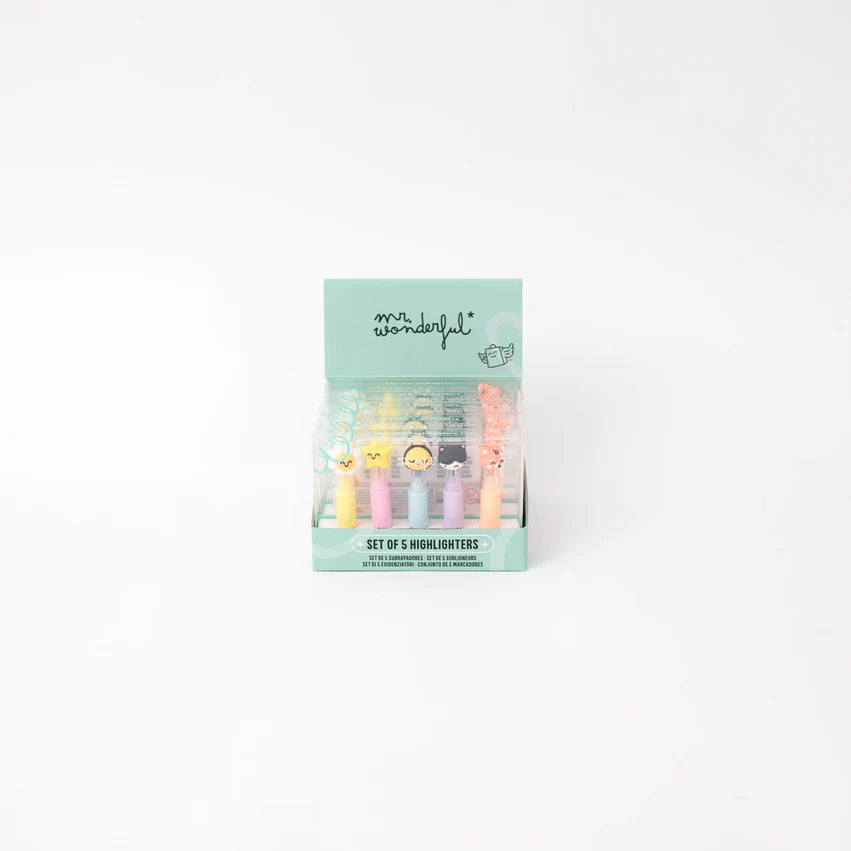 Set di 5 evidenziatori pastello – Colori tenui, idee brillanti – Mr.Wonderful